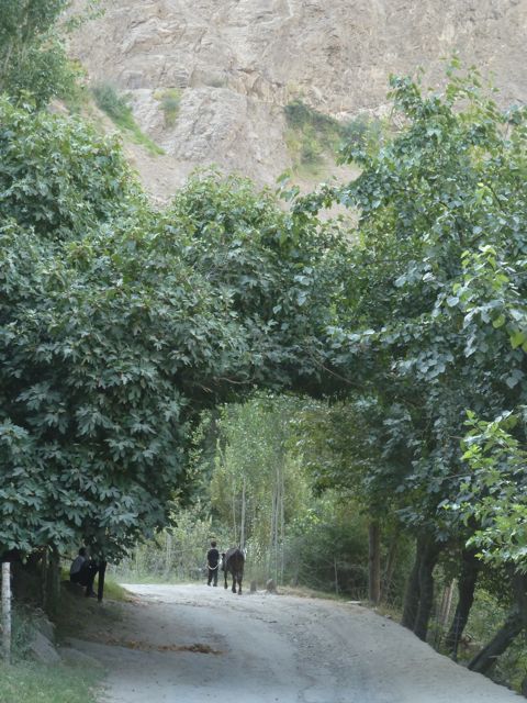 Tajikistan-sharing-the-road